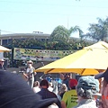 Live Band