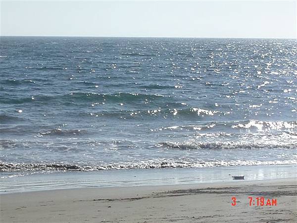 shore