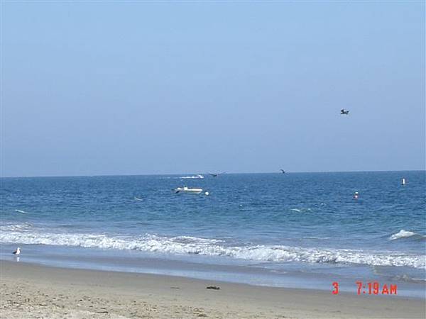shore