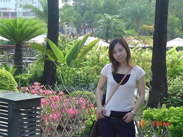 DSC03539