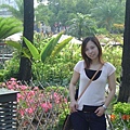 DSC03539