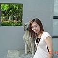 DSC03545