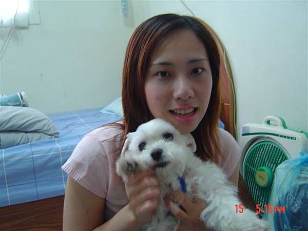 DSC03652