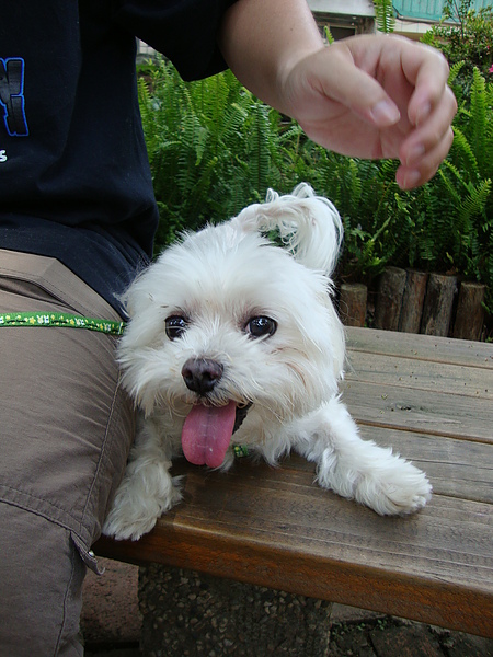 DSC01882.JPG