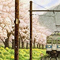 櫻花的鐵路