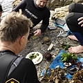 The Noma Australia team seaweed diving in Tasmania - Image by Jason Loucas.jpg