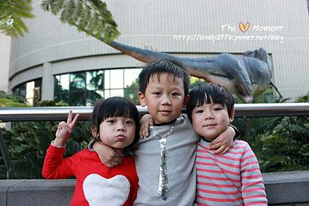 IMG_7587 IMG_7587
