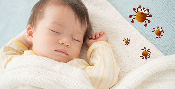 12329736_6052970306441_912829055_n 12329736_6052970306441_912829055_n