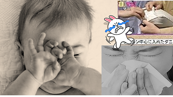 12679174_6061988201820_2011809720_n 12679174_6061988201820_2011809720_n