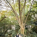IMG_7605.jpg
