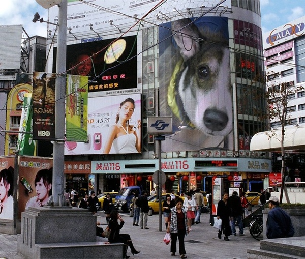 PhotoFunia-88f99.jpg