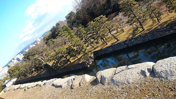 P_20160302_154612.jpg P_20160302_154612.jpg