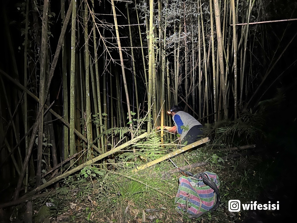 新竹豪華露營｜蟬說：霧繞  一泊二食贈下午茶 晚上跟著獵人上