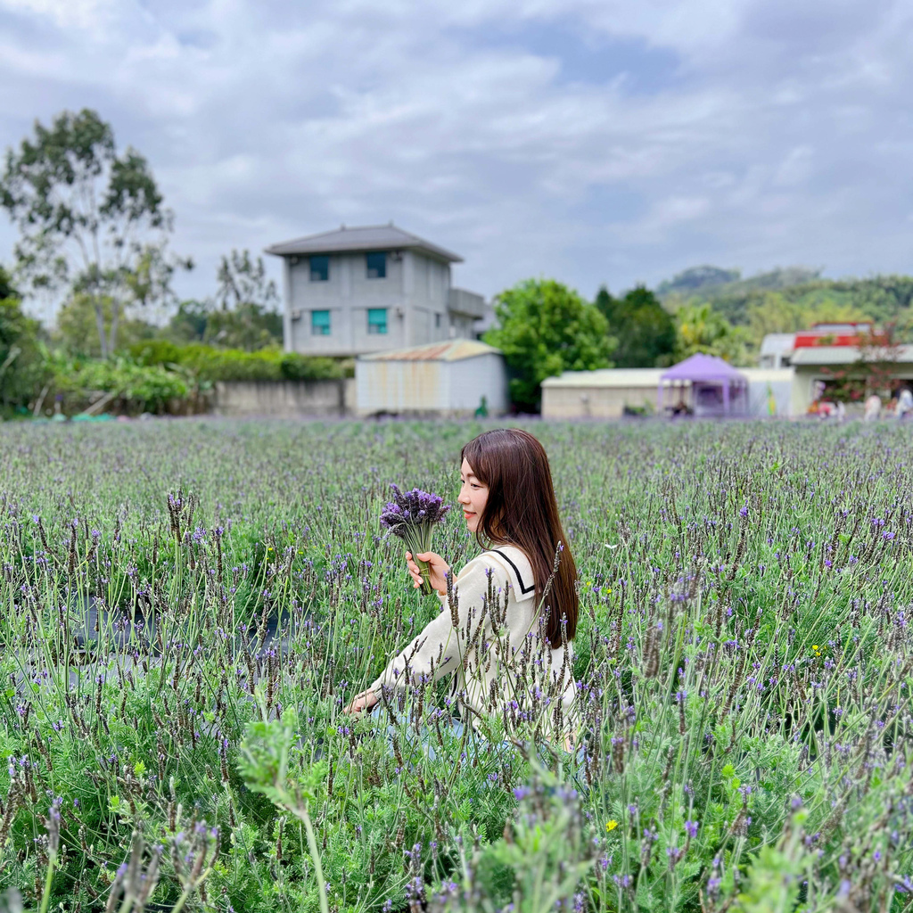 葛瑞絲香草田4.JPG