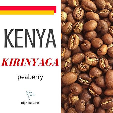 KENYA_副本