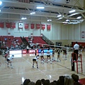 women's volley ball game