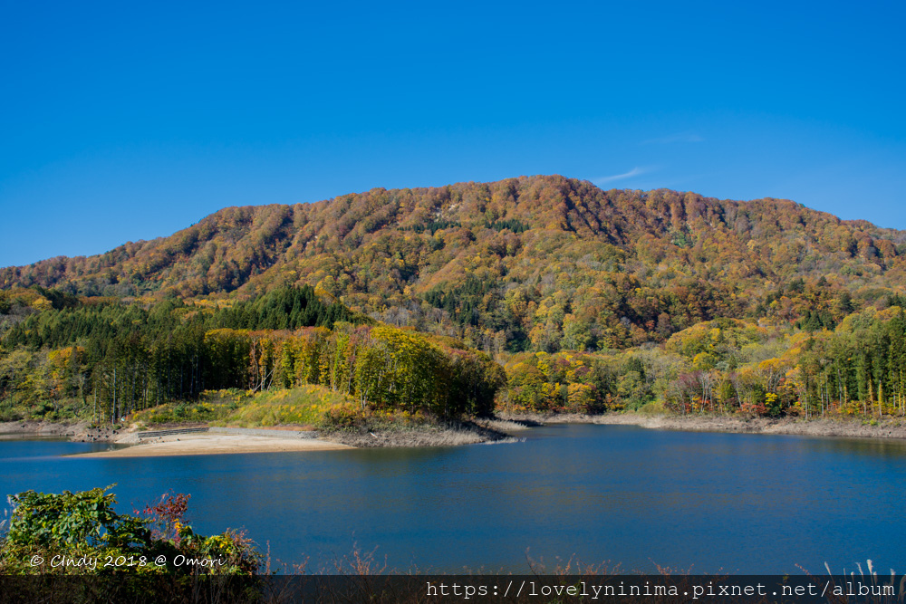 _DSC4162.jpg _DSC4162.jpg