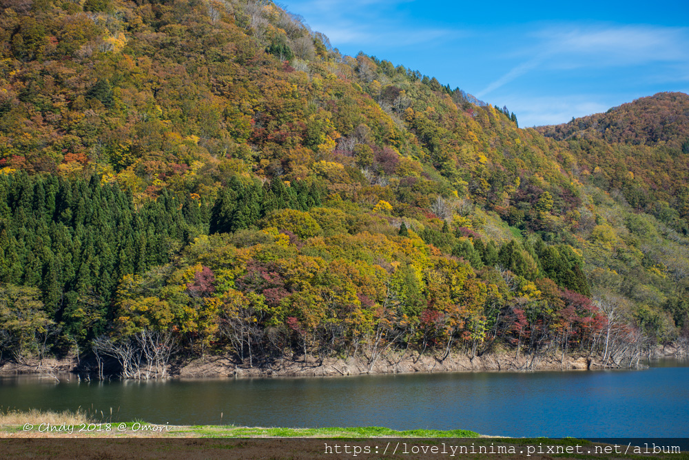 _DSC4160.jpg _DSC4160.jpg