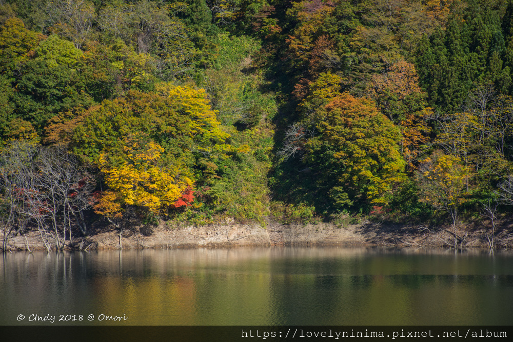 _DSC4164.jpg _DSC4164.jpg