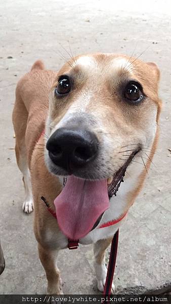 IMG_8506.JPG IMG_8506.JPG