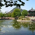 20140506_135122.jpg