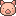 pig_06.gif