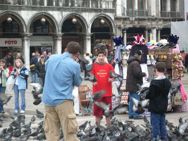 廣場上很多鴿子