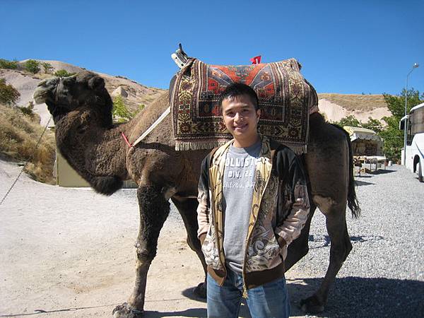 其實跟這個駱駝拍照要收錢