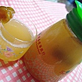 P1090067.jpg