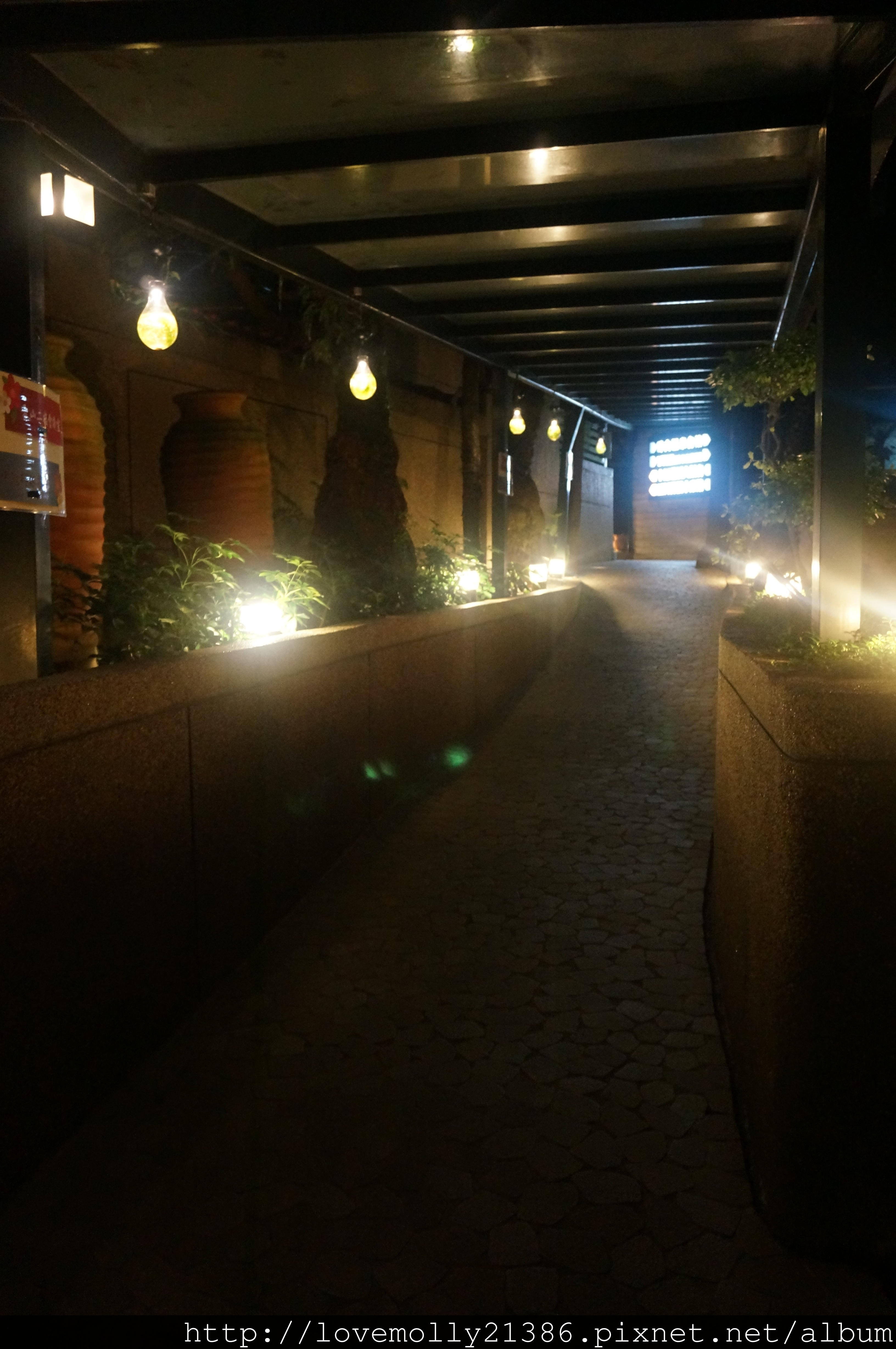 DSC00830