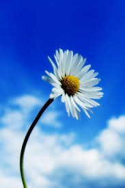 images (1)