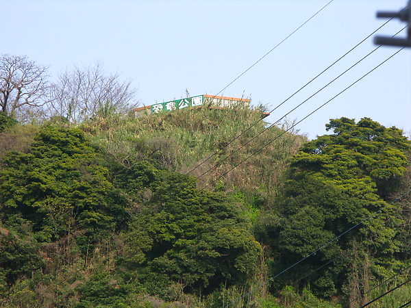 山上的恐龍公園