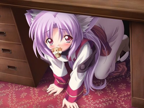 獸耳27.jpg 獸耳27.jpg
