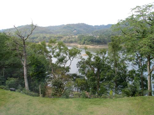 042.JPG 042.JPG