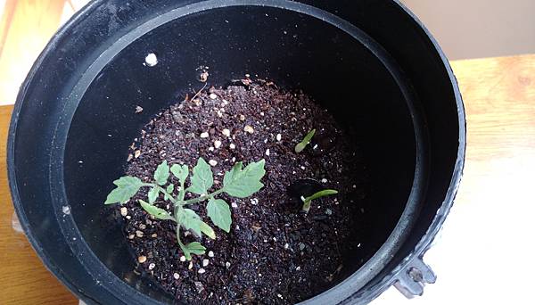 IMAG0157.jpg IMAG0157.jpg