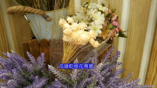 高雄乾燥花小菊乾燥花