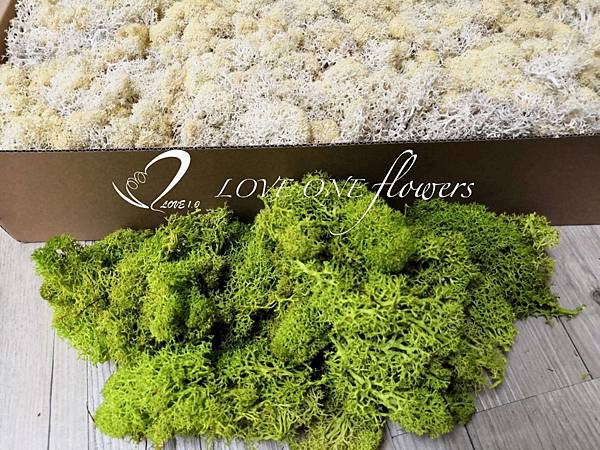 高雄不凋繡球花等10月份進貨花色 Moss苔癬 高雄乾燥花 19 高雄乾燥花專賣店的相簿 痞客邦 高雄不凋繡球花等10月份進貨花色 Moss苔癬 高雄乾燥花 19 高雄乾燥花專賣店的相簿 痞客邦