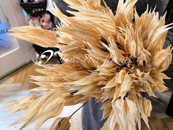 高雄乾燥花 永生花 花材店 新上架花材 高雄乾燥花專賣店的部落格 痞客邦 高雄乾燥花 永生花 花材店 新上架花材 高雄乾燥花專賣店的部落格 痞客邦
