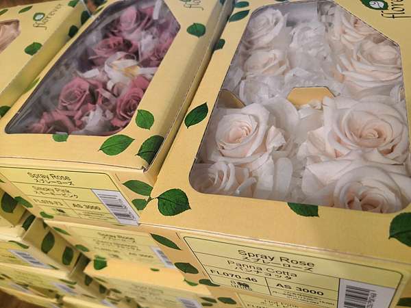 日本品牌永生花florever 不凋玫瑰花頭fl070系列 高雄乾燥花專賣店的部落格 痞客邦