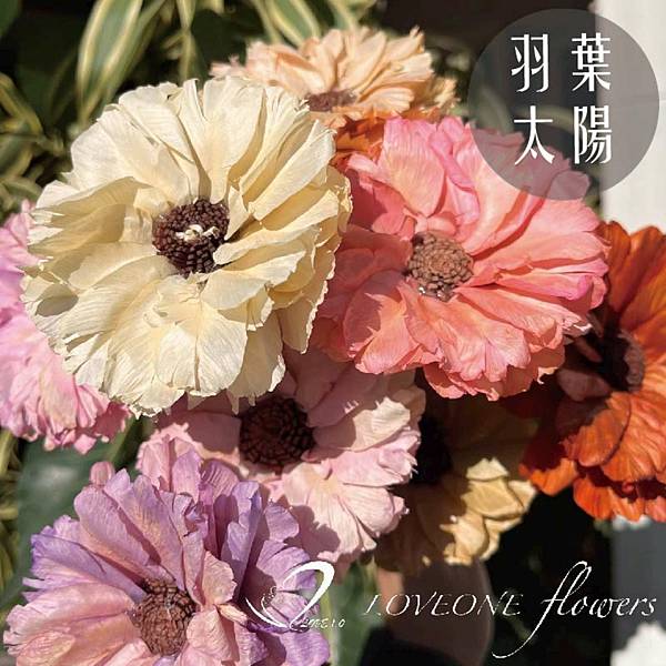 畢業季_畢業花束_畢業季花材_畢業典禮_畢業禮物_向日葵_蓪草向日葵_羽葉太陽-2022.jpg