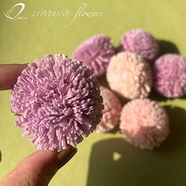 loveoneflowers_蓪草乒乓菊-04-01.jpg