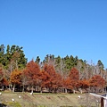 小瑞士花園