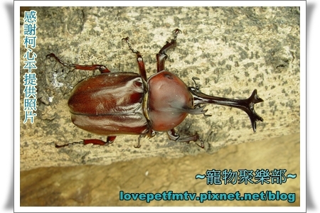 19網誌用.JPG 19網誌用.JPG