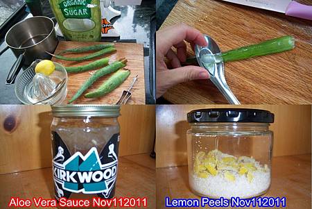 Aloe Vera Sauce_Lemon Peels Nov112011