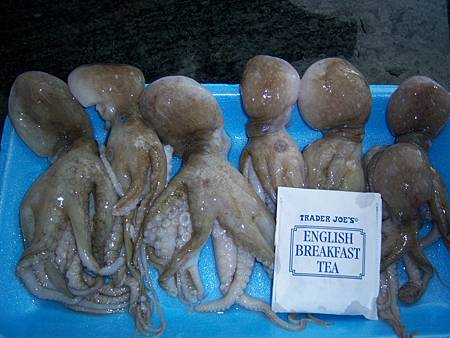 Jan232012 小章魚與紅茶包 Jan232012 小章魚與紅茶包