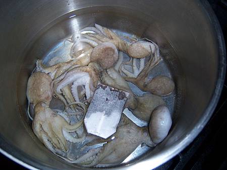 Jan232012 小章魚與紅茶包, 下水了 Jan232012 小章魚與紅茶包, 下水了