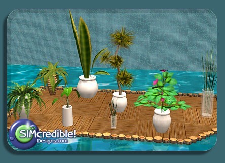 plantpack01.jpg