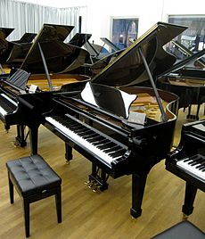 230px-Steinway_Vienna_011