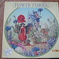 Flower Fairies