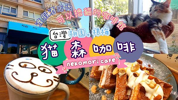 nekomoricafe 猫森咖啡